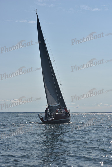 2021 Vineyard Race B 1706