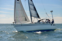2017 Vineyard Race A_0352