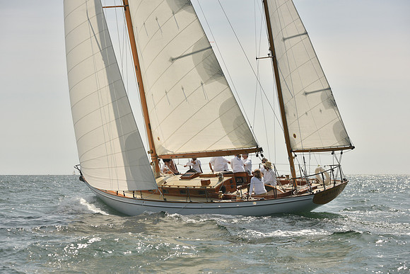 2018 Vineyard Cup A_0348