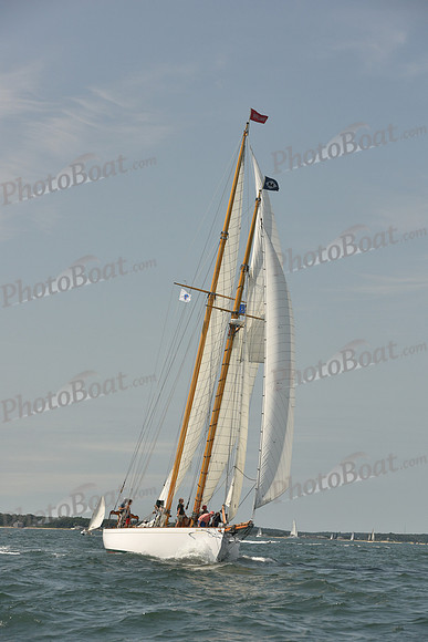 2018 Vineyard Cup A_0242