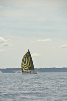 2016 Vineyard Race A_1078
