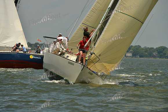 2016 Southern Bay Race Week F_1065