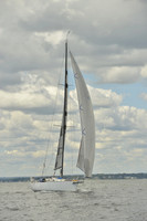 2016 Vineyard Race A_0897