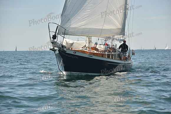2024 Figawi 0836