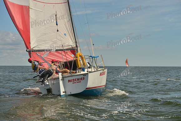 2016 Vineyard Race A_0377