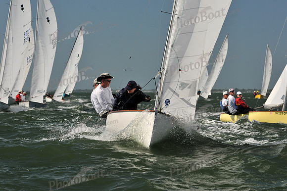 2012 Thistle Midwinters C 118