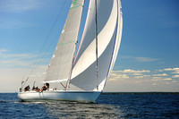2014 Vineyard Race A 1975