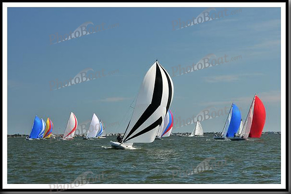 proof_2010_EScows_E 915