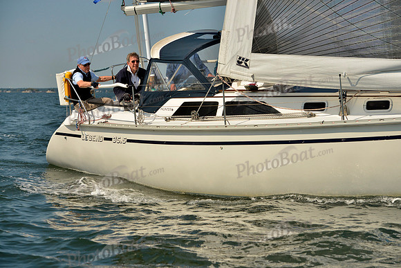 2017 Stamford Denmark Race_0262