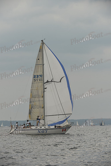 2016 Chester Race Week D_0796