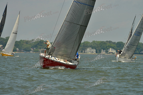 2016 Southern Bay Race Week F_0872