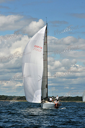 2010 IRC LIS 1028