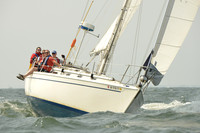 2015 Vineyard Race A 597