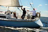 2014 Vineyard Race A 313