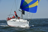 2019 Vineyard Race A_1074