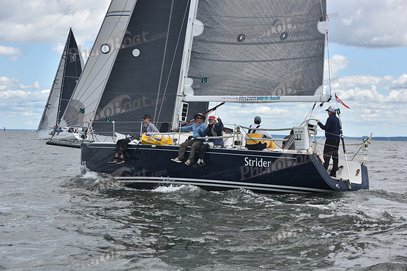 2021 Vineyard Race A 1069