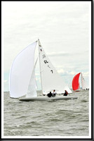 proof_2010_EScows_A 934