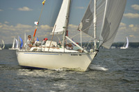 2016 Vineyard Race A_0404