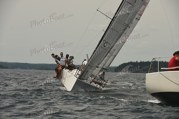 2016 Chester Race Week C_1176
