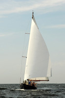 2013 Vineyard Race A 609