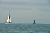 2016 Southern Bay Race Week E_0045