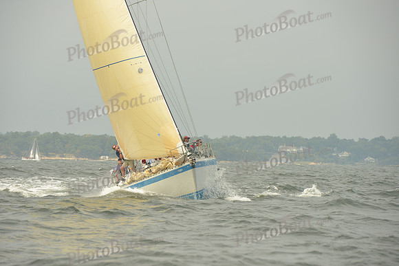 2015 Vineyard Race A 1582