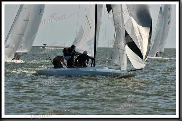 proof_2010_EScows_E 1256