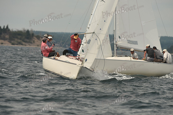 2016 Chester Race Week C_0988