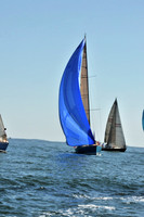 2010 Leukemia Cup B 276