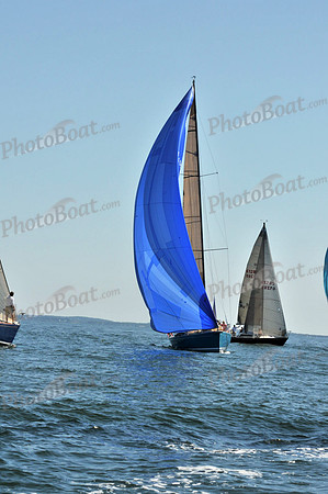 2010 Leukemia Cup B 276