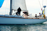 2014 Newport Bermuda A 313
