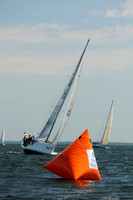 Pegasus 93367