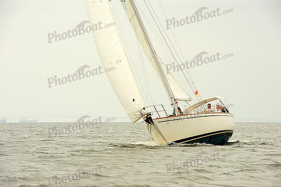2014 Gov Cup A 1131