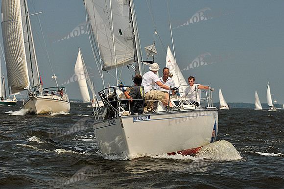 2013 Gov Cup A 344
