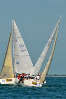 2011_KeyWestRaceWeek_C 723