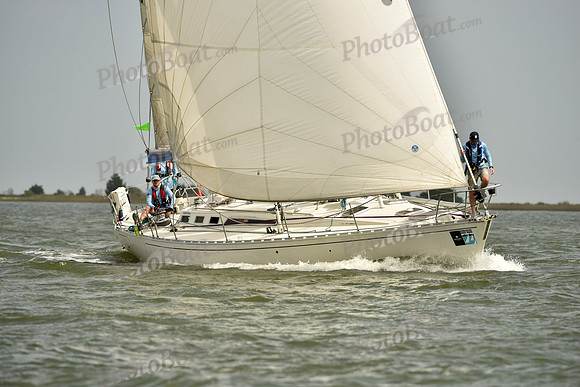2019 Charleston Race Week C_1732