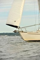 2017 Vineyard Race B_0283