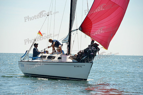 2015 Cape Charles Cup A 969