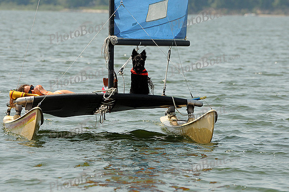 2012 Gov Cup D 281