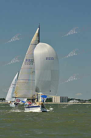 2013 Southern Bay Race Week D 622
