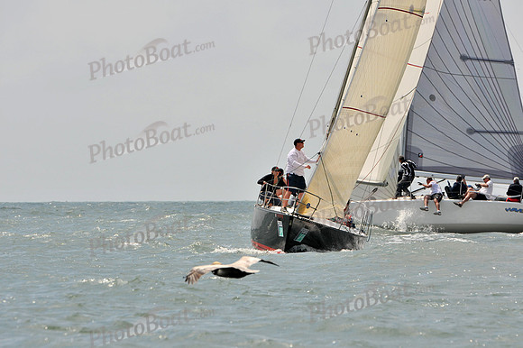 2012 Charleston Race Week A 2354