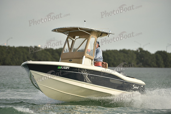 2019 Feb 10 Tampa Bay A_0937