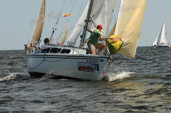 2011 Screwpile A 182