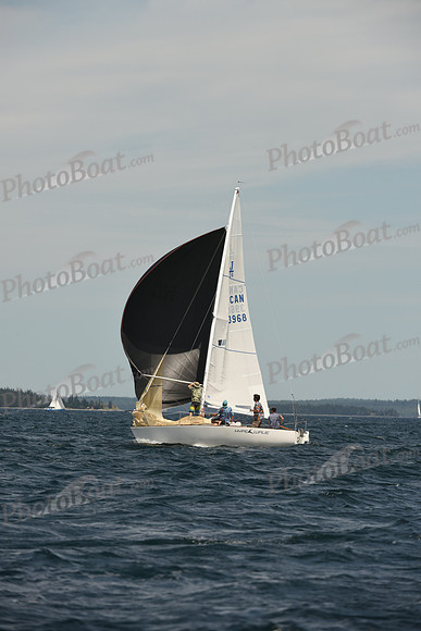 2016 Chester Race Week A_1107