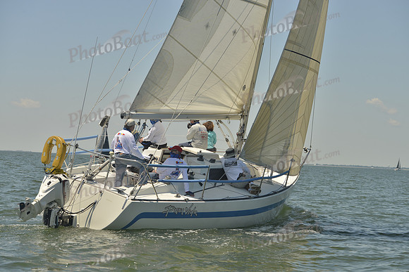 2017 Southern Bay Race Week B_1584