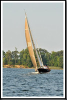 proof_2010 Gov Cup C 863