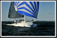 proof_2010_Vineyard_Race_0314