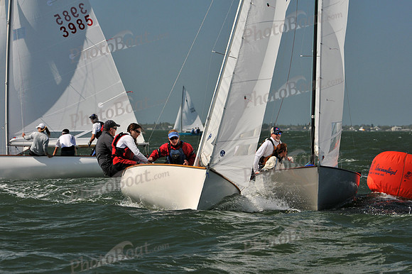 2012 Thistle Midwinters C 078