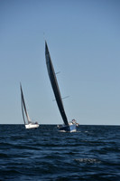 2021 Vineyard Race B 2427