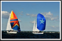 proof_2010_Vineyard_Race_0224